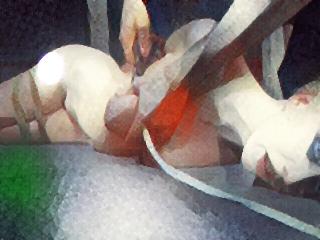 Babette's painting --- two