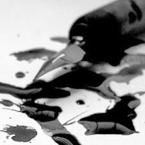 The Harsh Writer